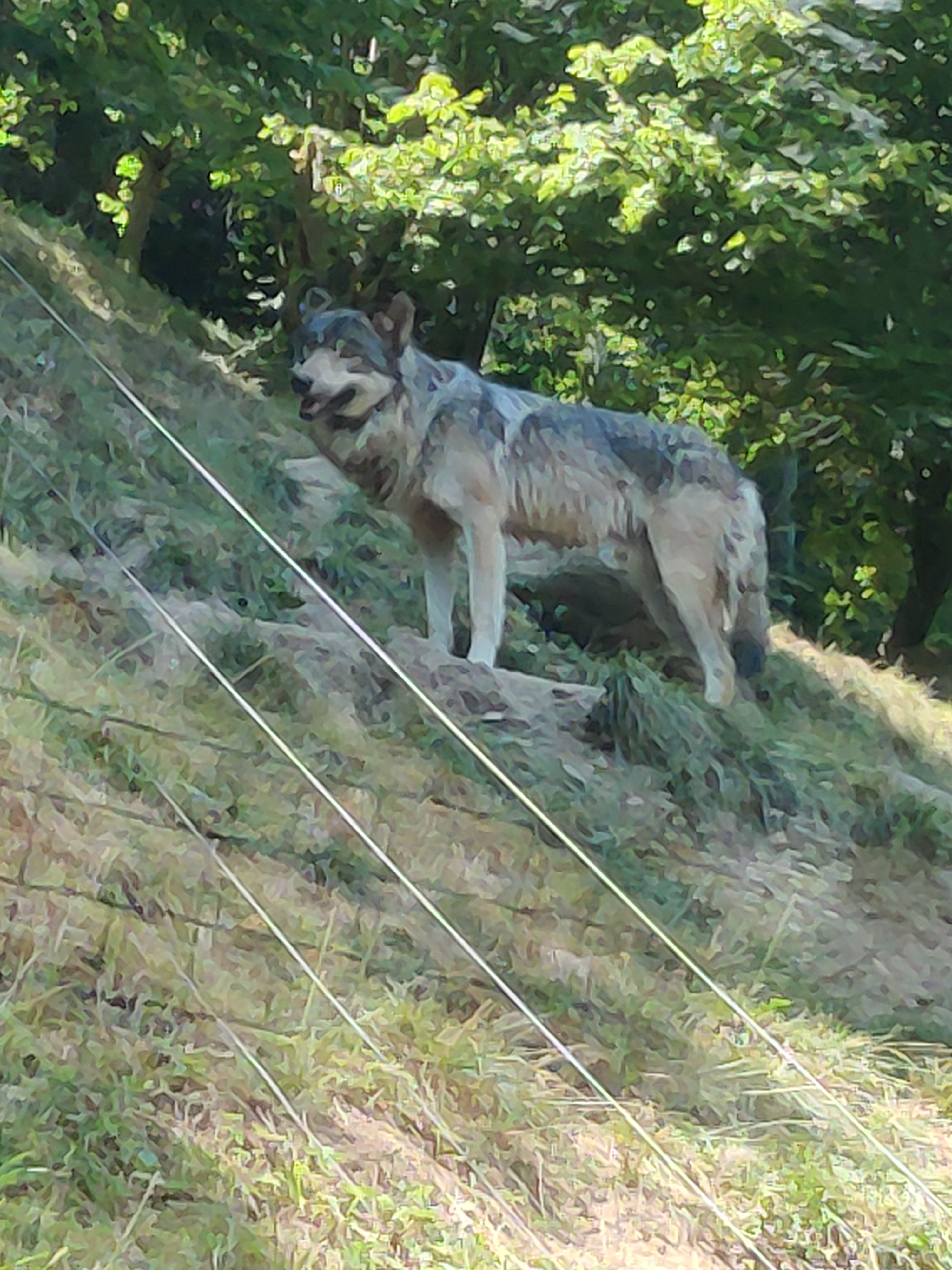 Photo n° 1 de l'avis de Fanny. fait le 19/07/2022 à 14:00