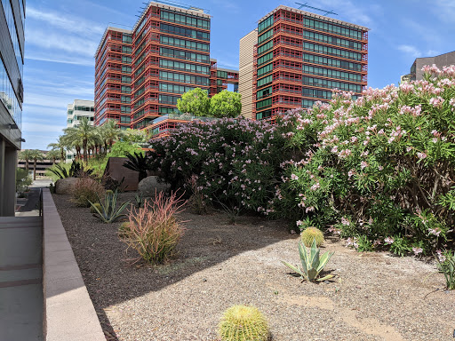 Hampton Inn Phoenix-Biltmore