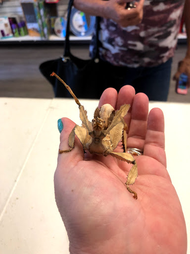 Pet Supply Store «Sonoma Pet and Aquatics», reviews and photos, 201 W Napa St #7, Sonoma, CA 95476, USA