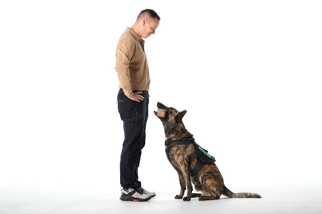 FitHundGsund - Privates Hundetraining in Winterthur & Umgebung - Winterthur