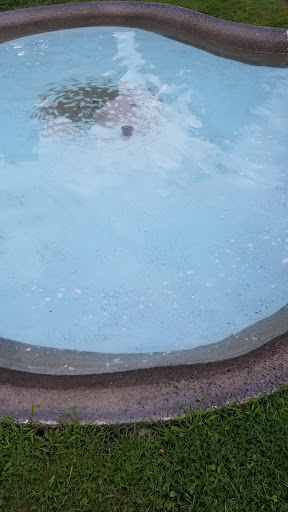 Amusement Center «Essex Family Fun & Entertainment Center», reviews and photos, 48 Upper Main St, Essex Junction, VT 05452, USA