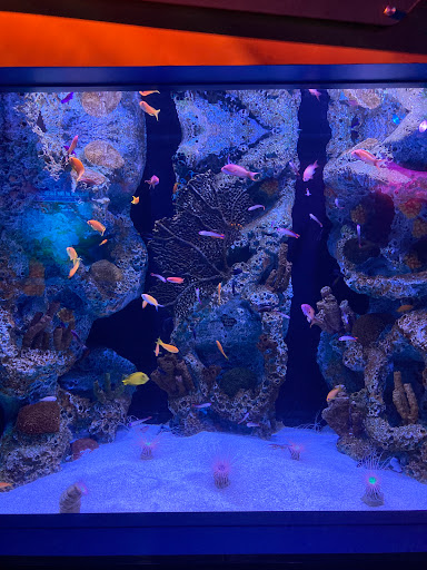 Museum «American Victory Ship», reviews and photos, 705 Channelside Dr, Tampa, FL 33602, USA