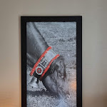 Photo n°2 de l'avis de Andreas.c fait le 20/06/2023 à 11:57 sur le  Munich Airport Marriott Hotel à Freising