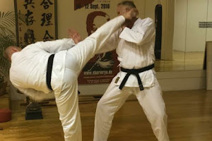 Karate Enschede - Shorin Ryu Nederland