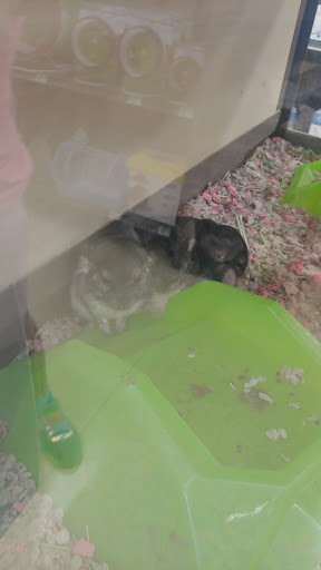 Pet Supply Store «Petco Animal Supplies», reviews and photos, 3637 2700 W, West Valley City, UT 84119, USA