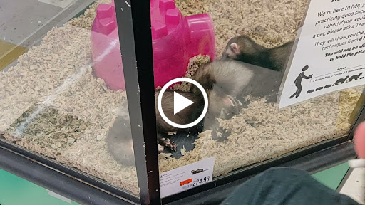 Pet Supply Store «Pet Supplies Plus», reviews and photos, 5229 Library Rd, Bethel Park, PA 15102, USA