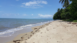Zdjęcie Wonga Beach obszar udogodnień