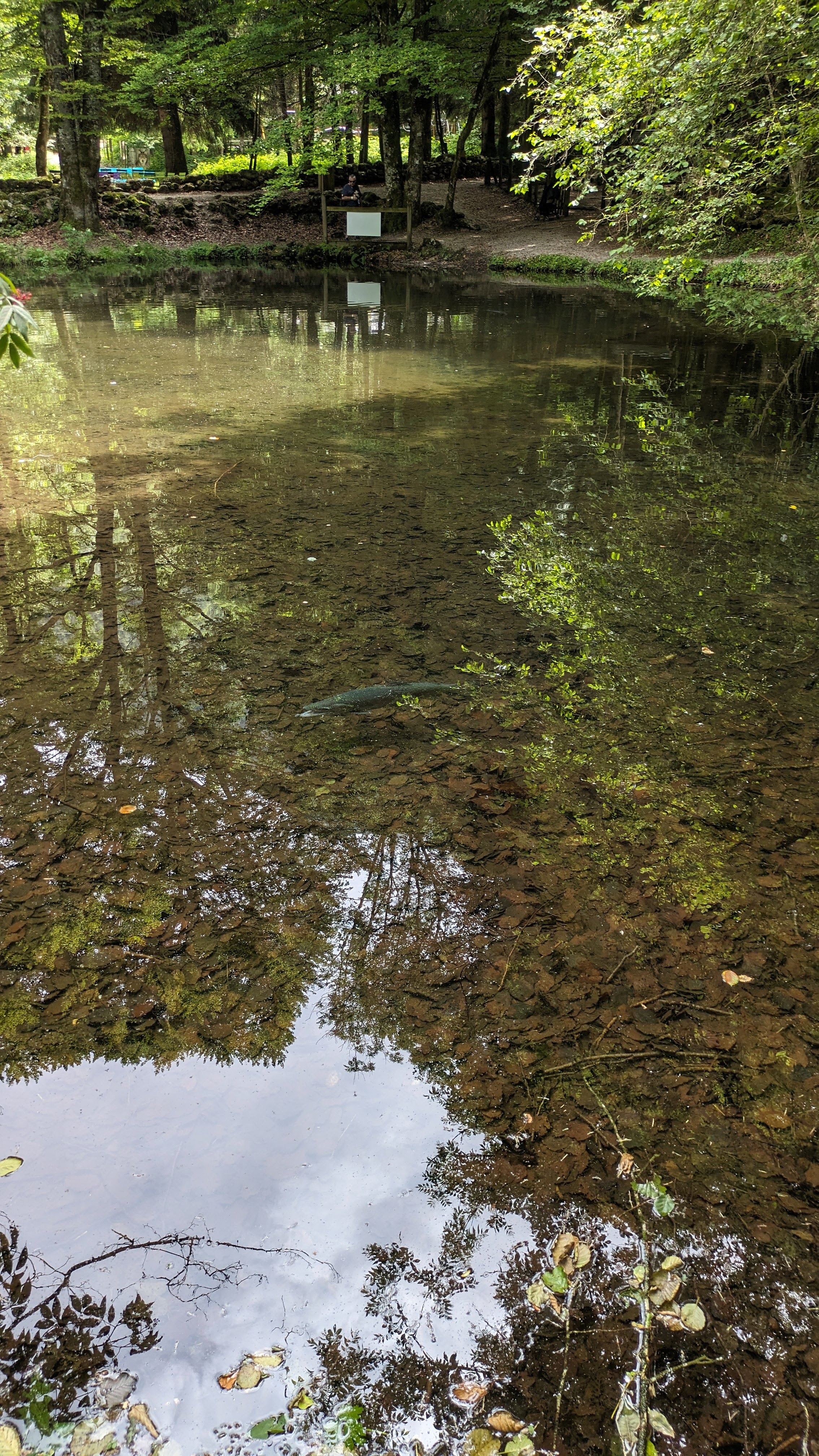 Photo n° 23 de l'avis de Dada.e fait le 15/08/2023 à 12:32