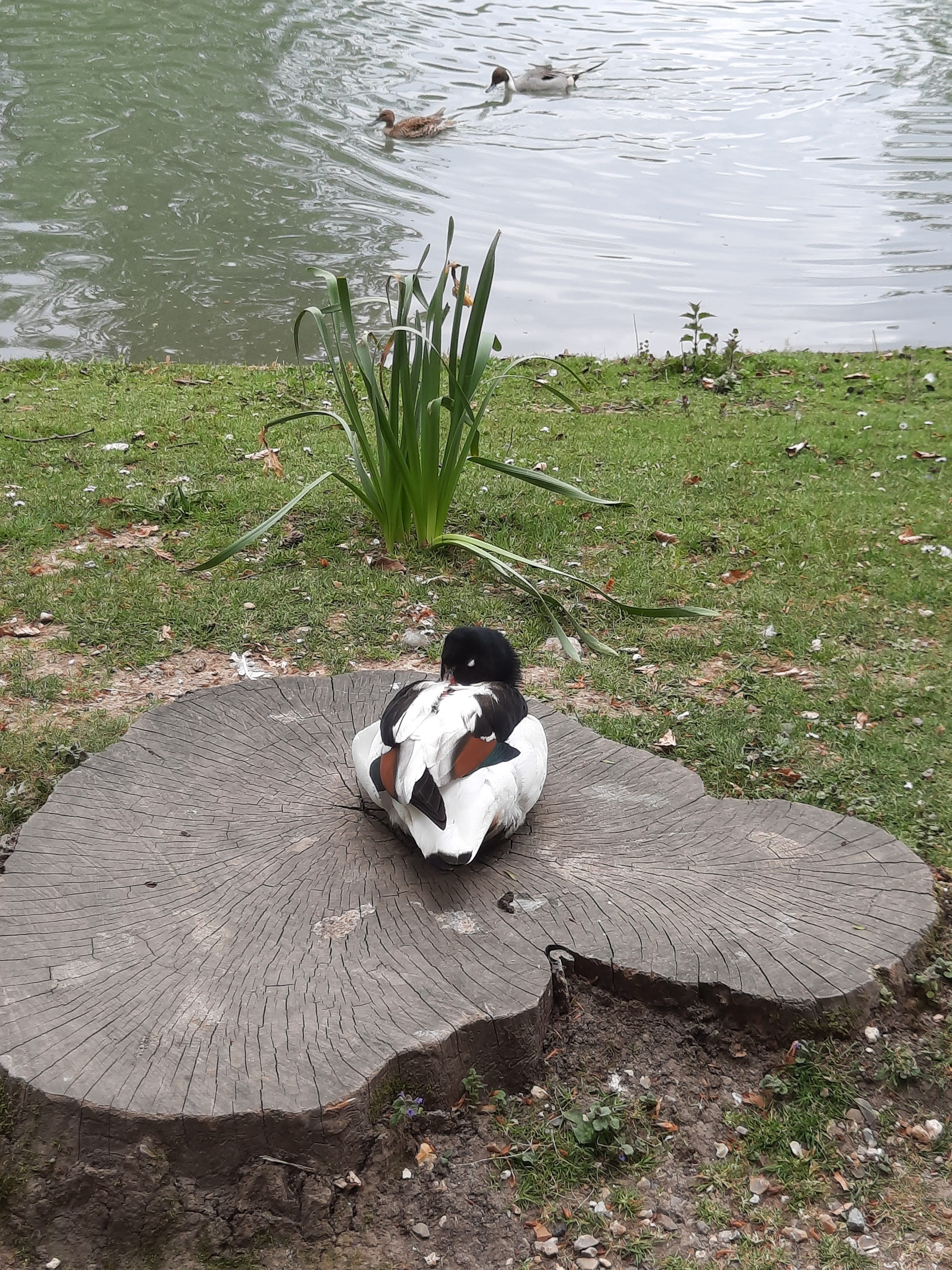 Photo n° 3 de l'avis de Laetitia.o fait le 07/05/2022 à 05:45