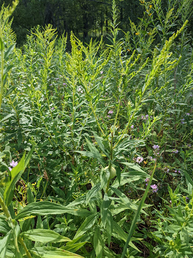 State Park «Goosepond Mountain State Park», reviews and photos, 1198 New York 17M, Chester, NY 10918, USA