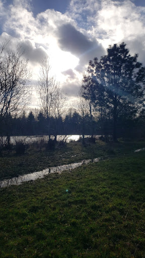 Nature Preserve «Beaverton Creek Wetlands Natural Area», reviews and photos, SW 153rd Dr, Beaverton, OR 97006, USA