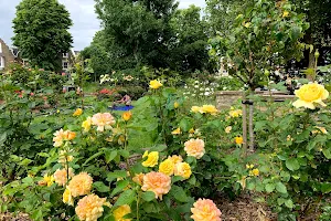 De Beauvoir Rose Garden image