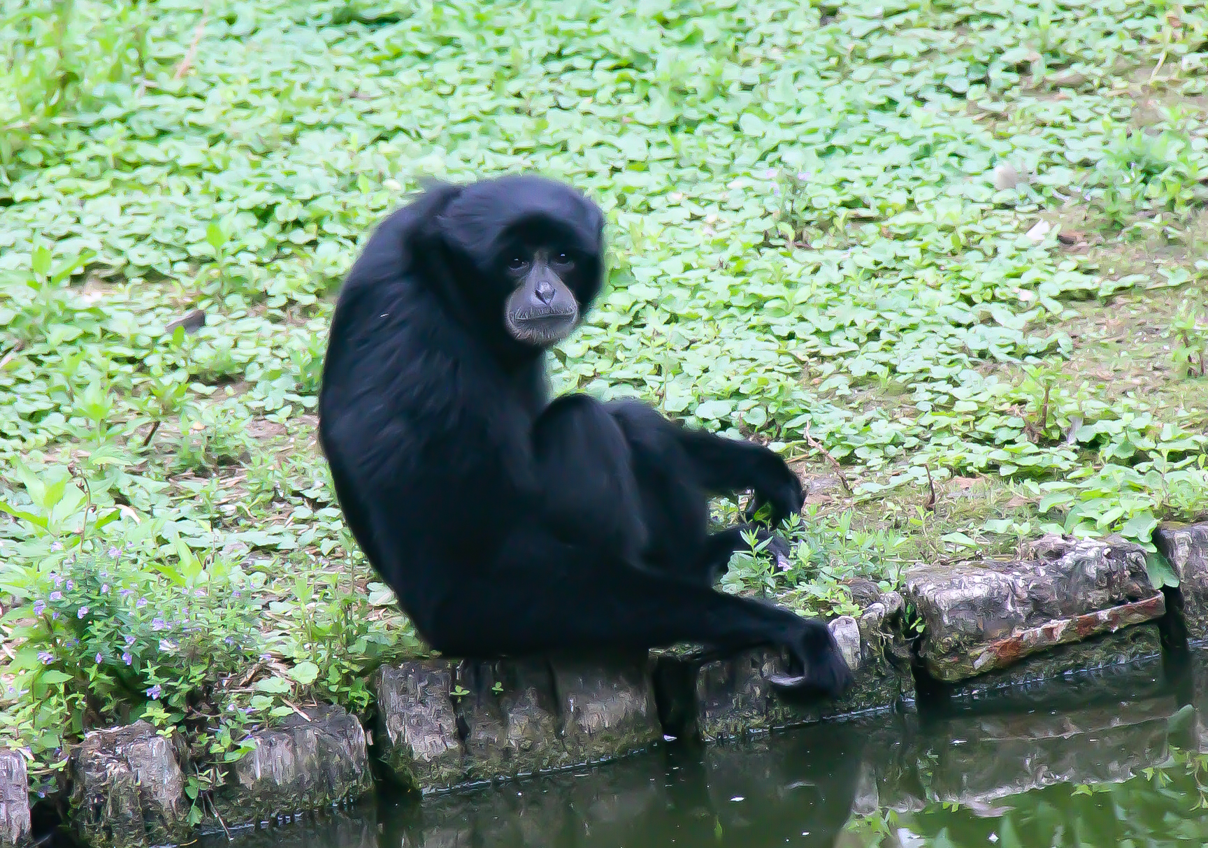 Photo n° 9 de l'avis de Cynthia.l fait le 21/07/2022 à 17:10