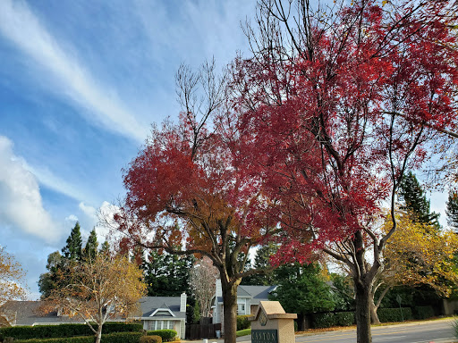 Gym «Fitness 19 Folsom», reviews and photos, 9580 Oak Ave Pkwy #12bc, Folsom, CA 95630, USA