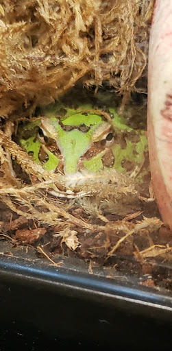 Pet Supply Store «Petco Animal Supplies», reviews and photos, 35860 Chester Rd, Avon, OH 44011, USA