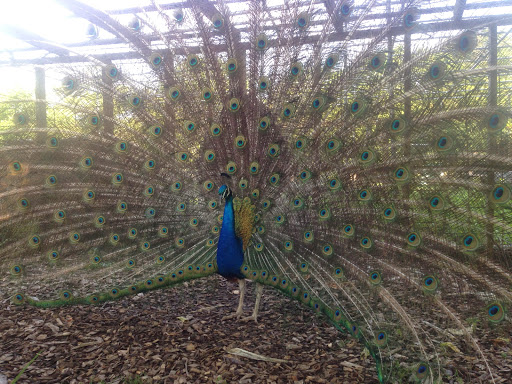 Produce Market «Highland Orchards Farm Market», reviews and photos, 1431 Foulk Rd, Wilmington, DE 19803, USA