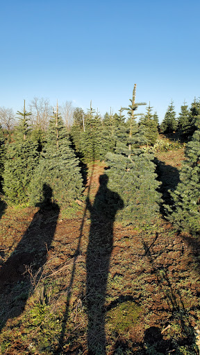 Gift Shop «Sleighbells Of Sherwood (Seasonal Business Open July1-December 23)», reviews and photos, 23855 SW 195th Pl, Sherwood, OR 97140, USA
