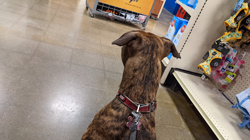 Pet Supply Store «PetSmart», reviews and photos, 2216 E Springs Dr, Madison, WI 53704, USA