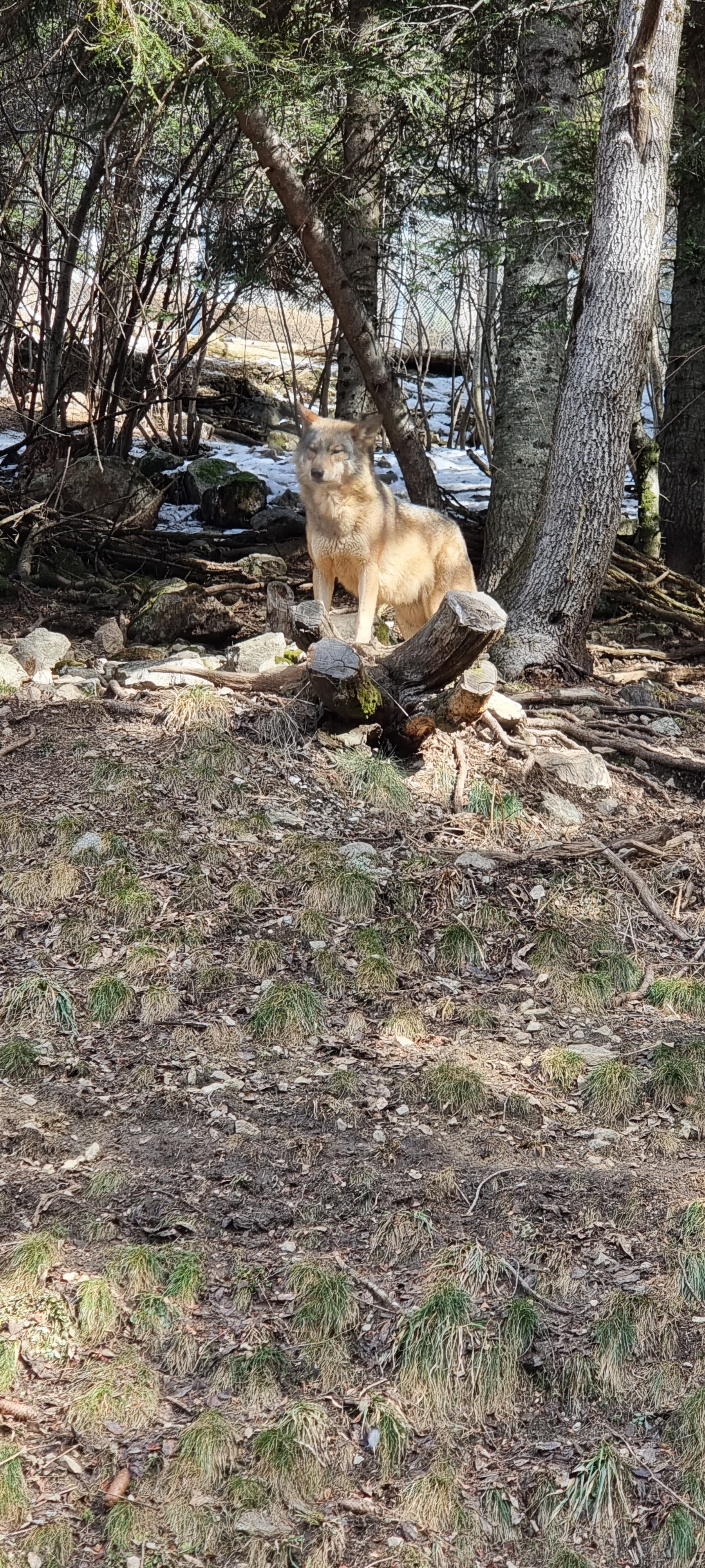 Photo n° 1 de l'avis de Frederic.a fait le 17/02/2023 à 09:23