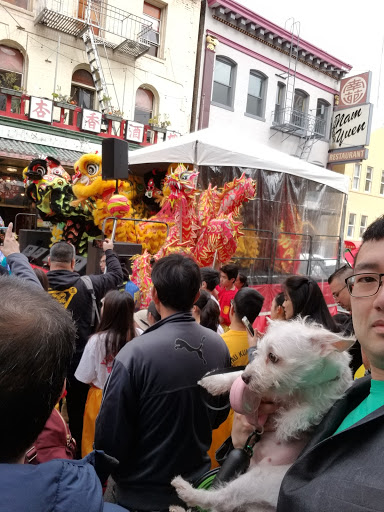 Dessert Shop «Dragon Papa», reviews and photos, 752 Grant Ave, San Francisco, CA 94108, USA