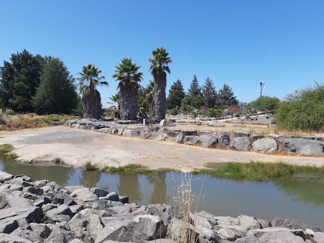 Horarios de Jardín Botanico Universidad de Talca