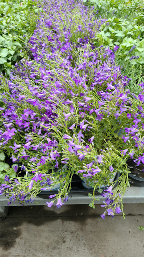 Home Improvement Store «The Home Depot», reviews and photos, 95 Highland Ave, Seekonk, MA 02771, USA