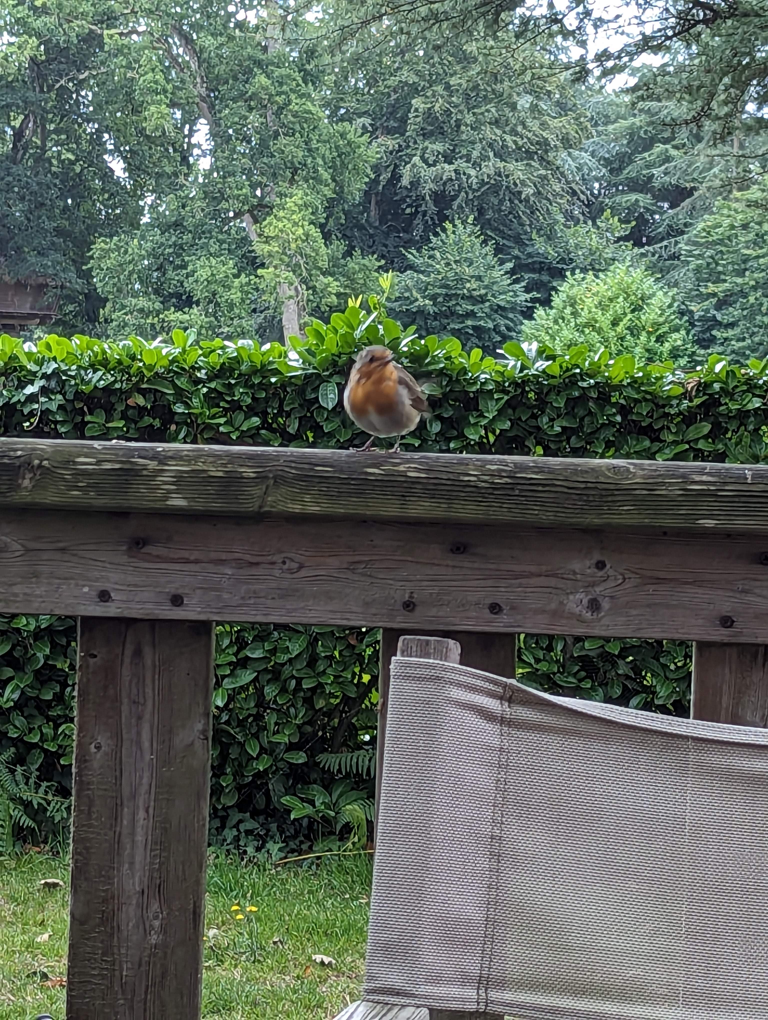 Photo n° 2 de l'avis de Rémy.a fait le 06/08/2023 à 20:29