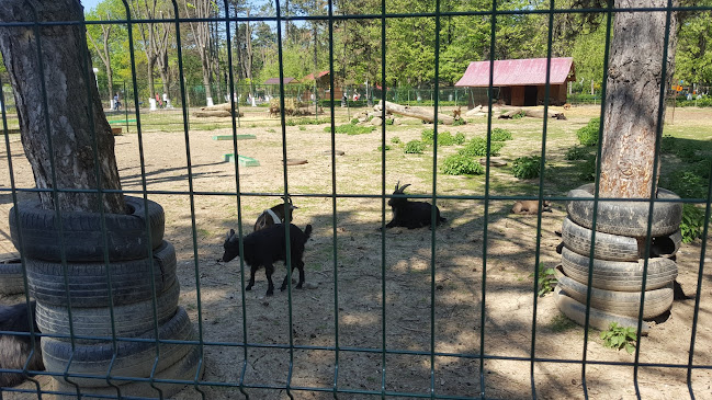 Comentarii opinii despre Litex Auto