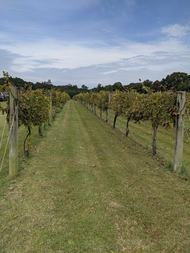 Vineyard «Cascia Vineyards & Winery», reviews and photos, 1200 Thompson Creek Rd, Stevensville, MD 21666, USA