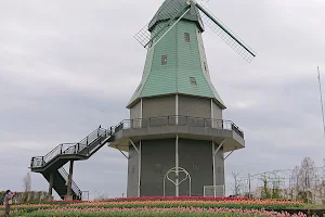 Tsuchiura City Kasumigaura Comprehensive Park image