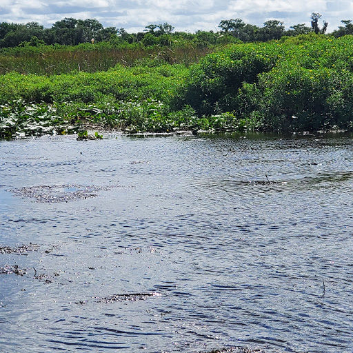 Sightseeing Tour Agency «Wild Willys Airboat Tours», reviews and photos, 4715 Kissimmee Park Rd, St Cloud, FL 34772, USA