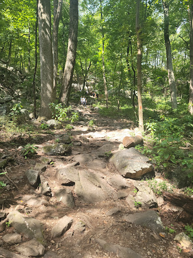 Winery «Sugarloaf Mountain Vineyard», reviews and photos, 18125 Comus Rd, Dickerson, MD 20842, USA