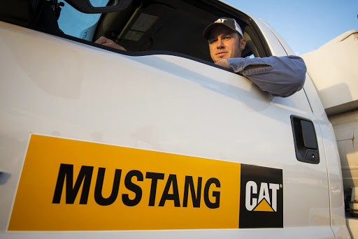 Mustang Cat - Beaumont