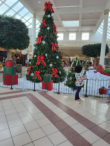 Shopping Mall «Chesapeake Square Mall», reviews and photos, 4200 Portsmouth Blvd, Chesapeake, VA 23321, USA