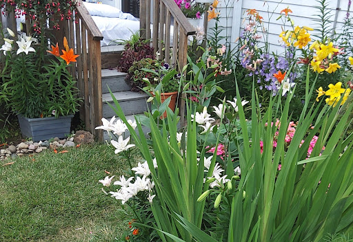 Supermarket «ALDI», reviews and photos, 2931 Fort St, Wyandotte, MI 48192, USA