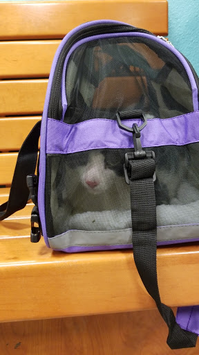 Pet Supply Store «PetSmart», reviews and photos, 300 NJ-18, East Brunswick, NJ 08816, USA