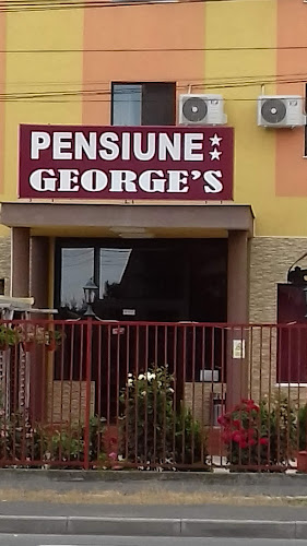 Pensiunea George`s - Hostal