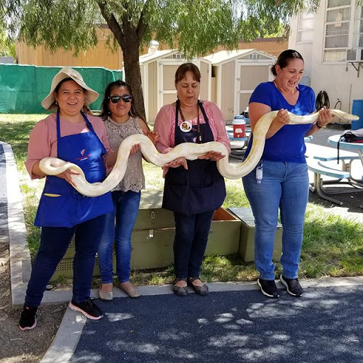 Reptile Store «Paramount Pet Entertainment - Reptile Parties & more!», reviews and photos, 8055 Rosecrans Ave #107, Paramount, CA 90723, USA