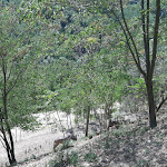 Photo n°3 de l'avis de raffaella.s fait le 09/08/2020 à 14:33 sur le  Agriturismo Le Lucciole | Bertinoro à Bertinoro