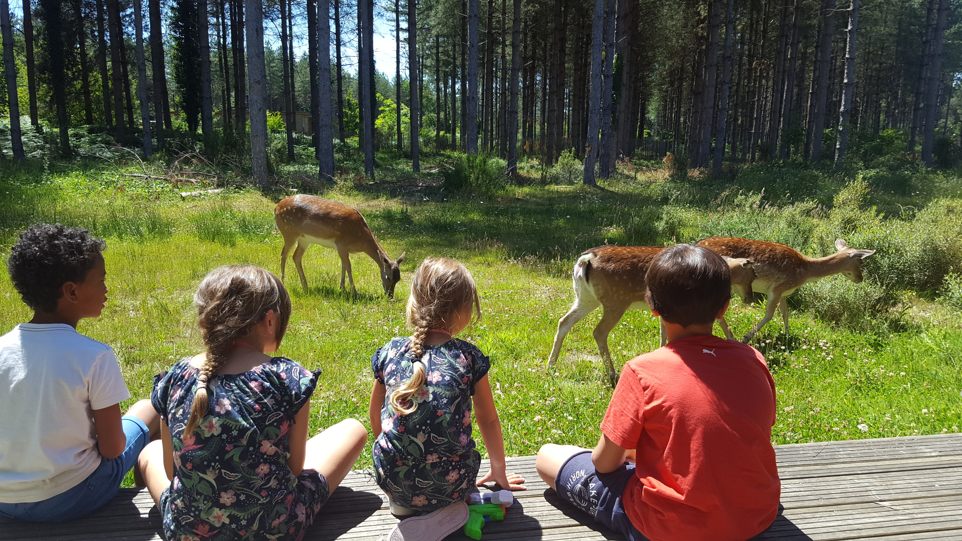 Photo n° 5 de l'avis de David.e fait le 24/06/2019 à 17:02
