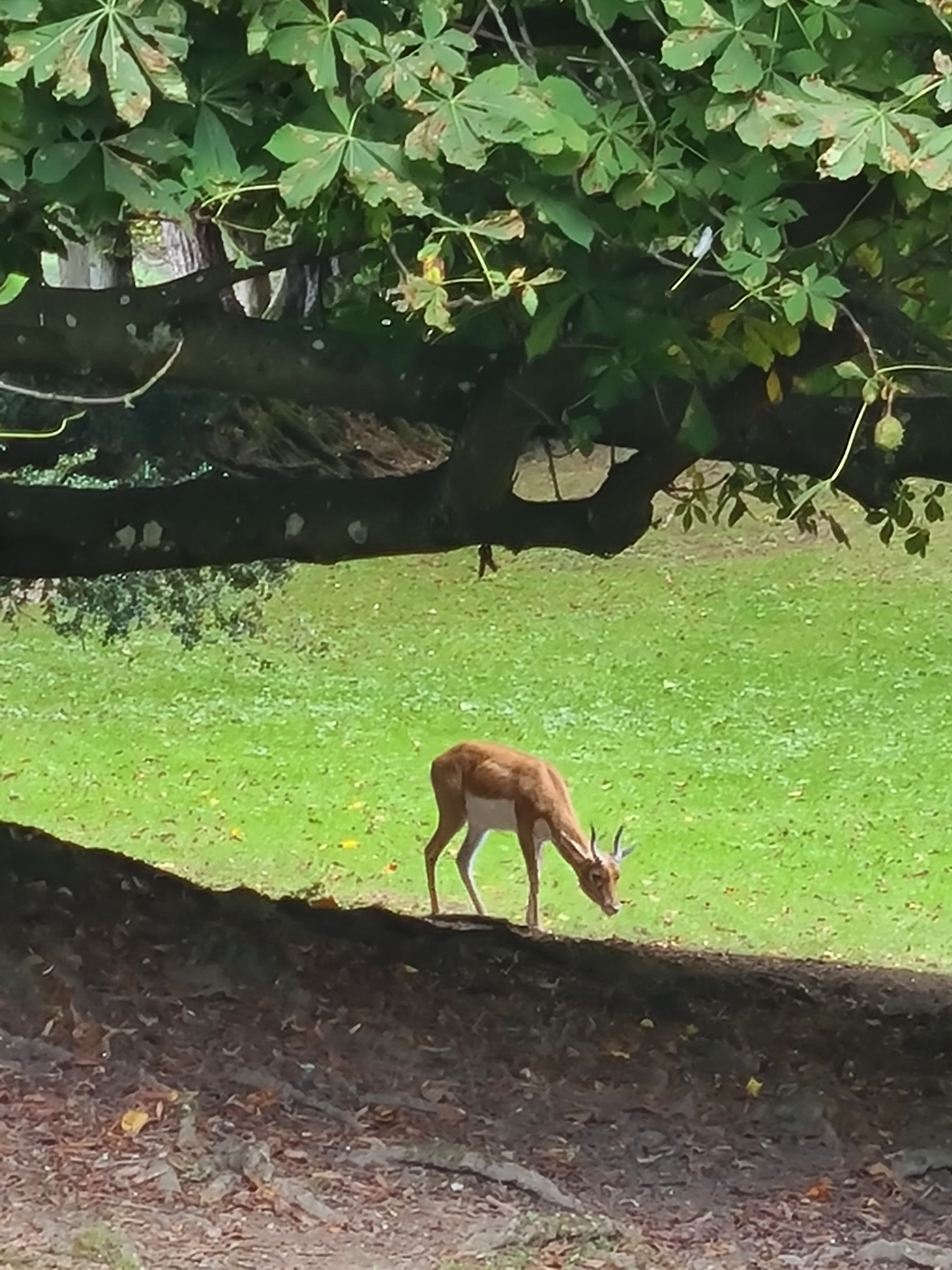 Photo n° 1 de l'avis de patricia.a fait le 21/09/2022 à 08:03