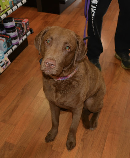 Pet Supply Store «The Natural Pet Enrichment Center», reviews and photos, 6720 Royalton Rd, North Royalton, OH 44133, USA