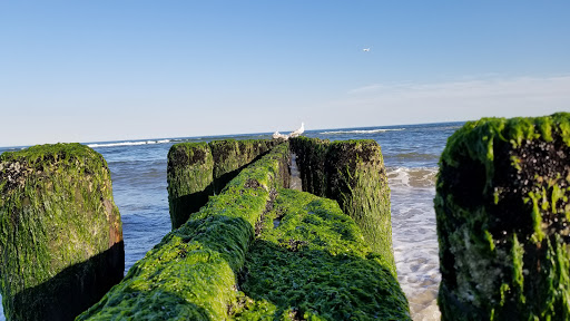 National Park «Jacob Riis Park (Gateway National Recreation Area)», reviews and photos, Rockaway Beach Blvd, Rockaway Park, NY 11694, USA