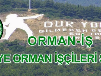 Orman-iş Sendikası