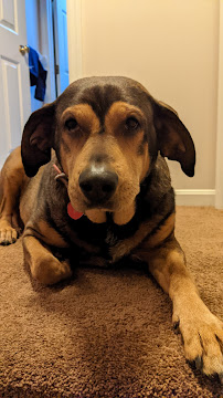 Pet Supplies Plus Cincinnati-Beechmont - Photo 4 - Car repair in Cincinnati, OH, Cincinnati