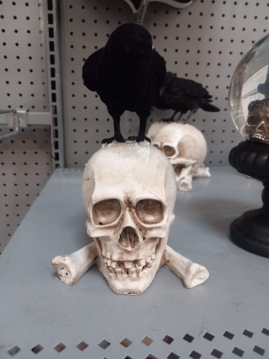 Department Store «Walmart Supercenter», reviews and photos, 8701 U.S. 19, Port Richey, FL 34668, USA