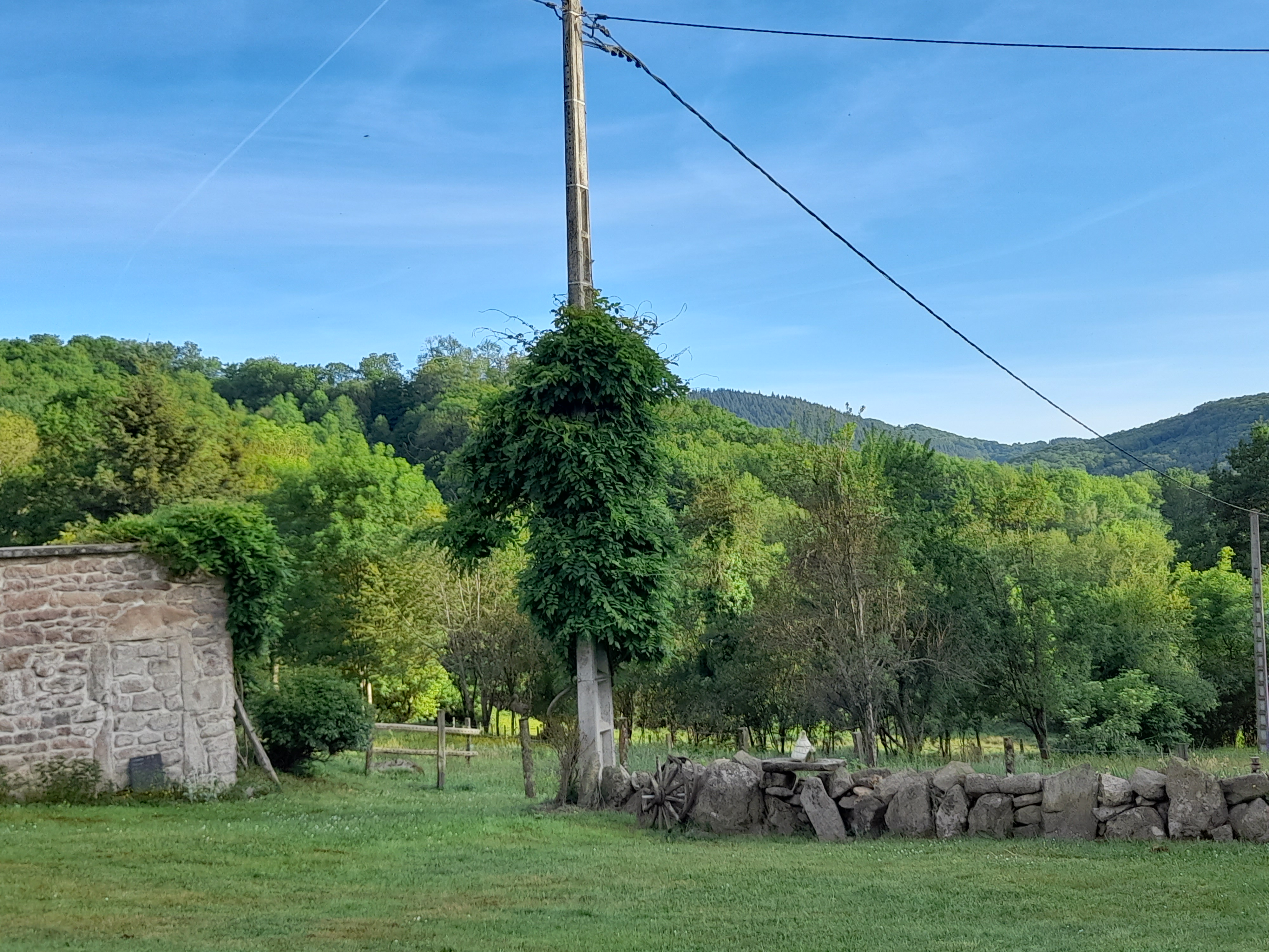 Photo n° 2 de l'avis de Josiane.s fait le 16/05/2022 à 18:39