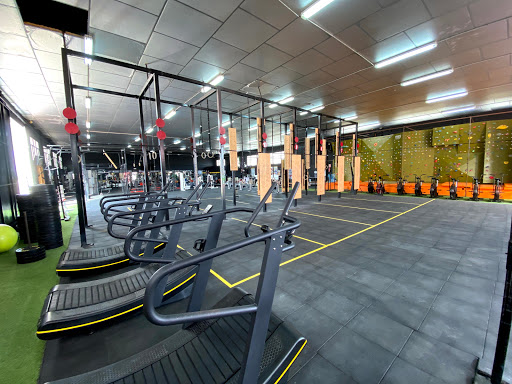 TEMPLE OF FITNESS / GIMNASIO AGR / CROSSFIT DOLORES