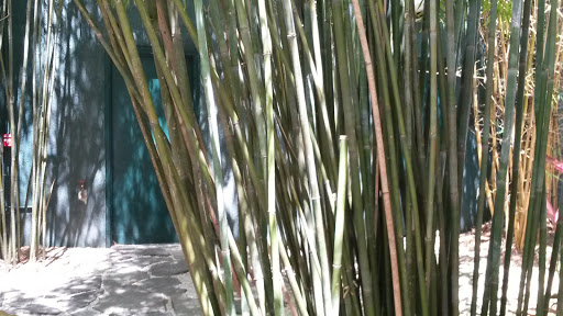 Public Golf Course «Bonaventure Golf Club», reviews and photos, 200 Bonaventure Blvd, Weston, FL 33326, USA