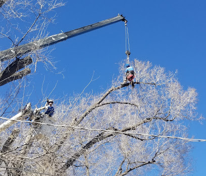 Timber Creek Tree Service, LLC